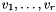 $v_1, \dots, v_r$